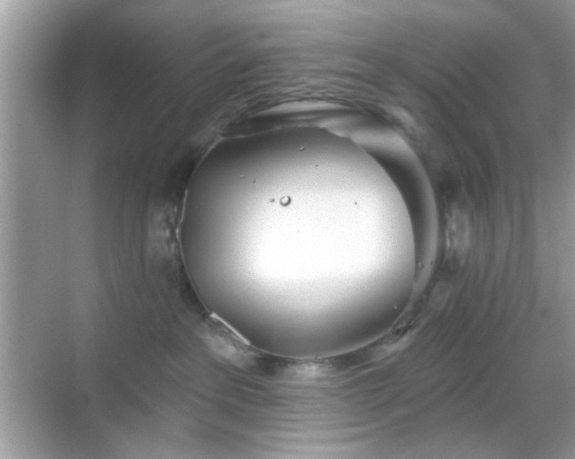 X0000069360237200605121125