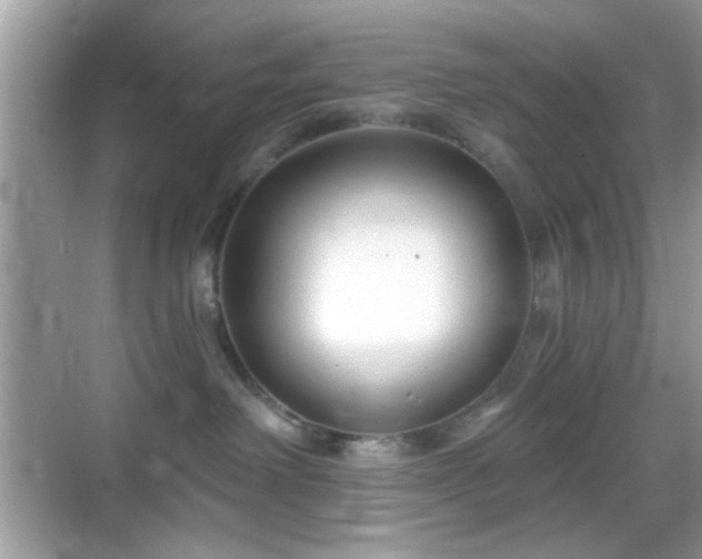 X0000069360238200605121125