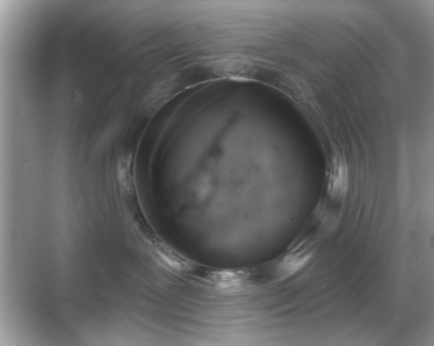 X0000069360239200605121125