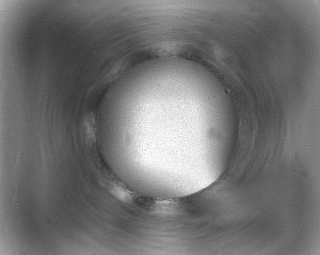 X0000069360240200605121125