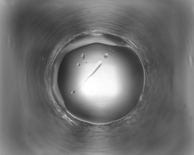 X0000069360241200605121124