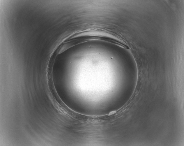 X0000069360242200605121124