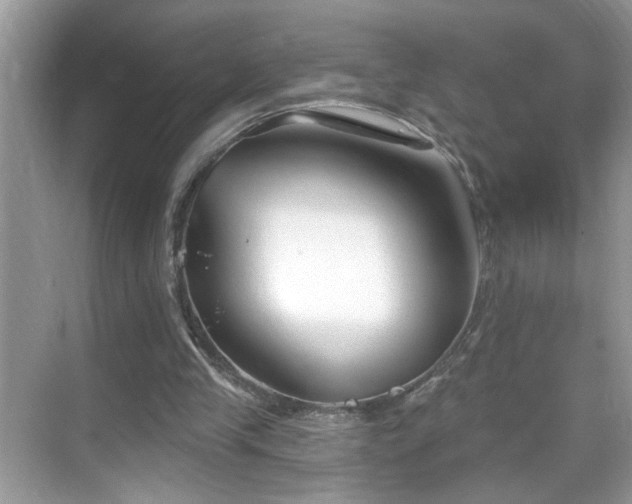 X0000069360245200605121124