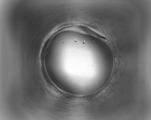 X0000069360246200605121124