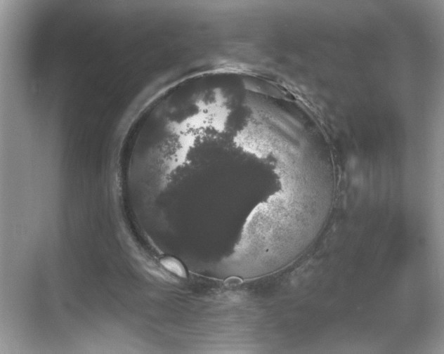 X0000069360247200605121124