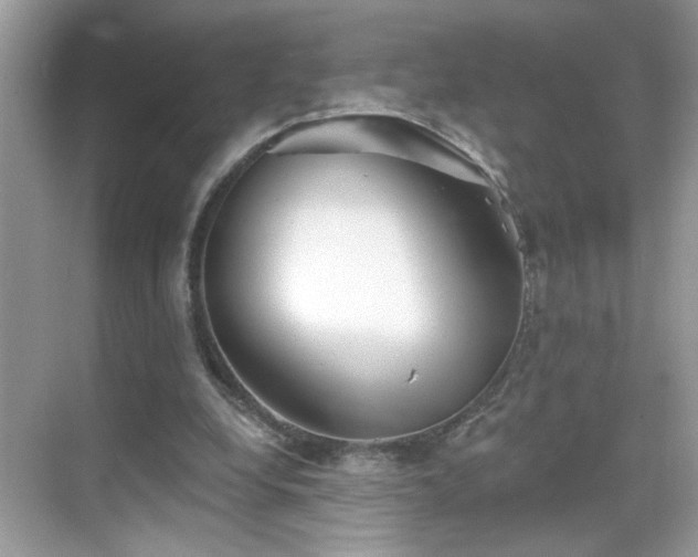 X0000069360248200605121124