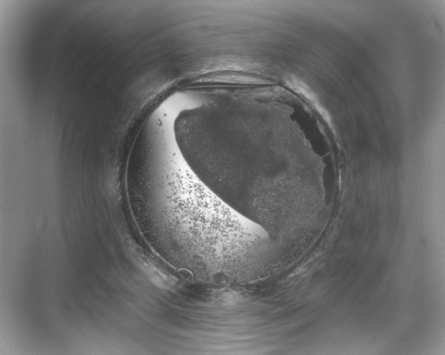 X0000069360249200605121124