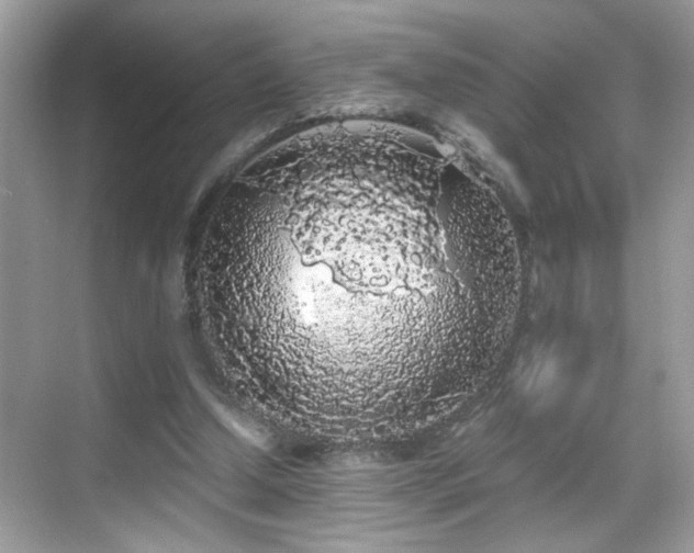 X0000069360250200605121124