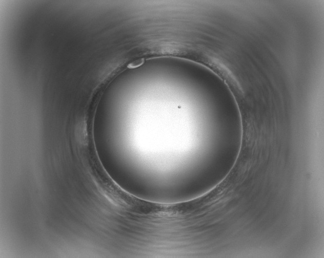 X0000069360251200605121124