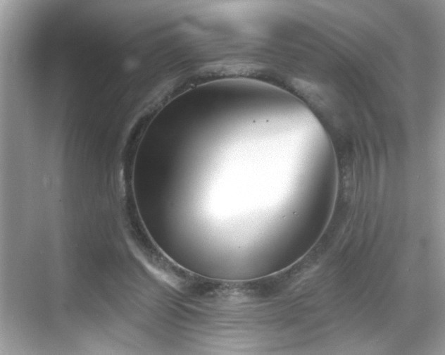 X0000069360254200605121124