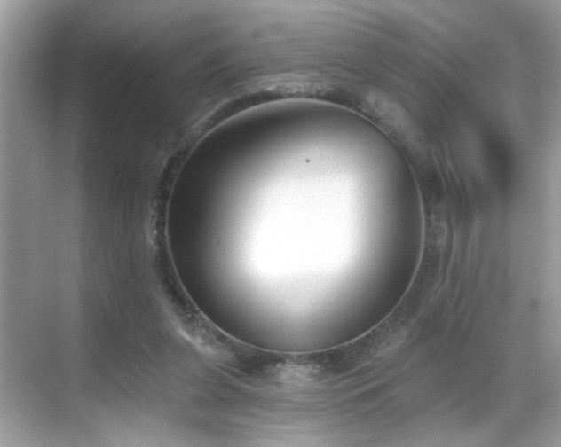 X0000069360255200605121124