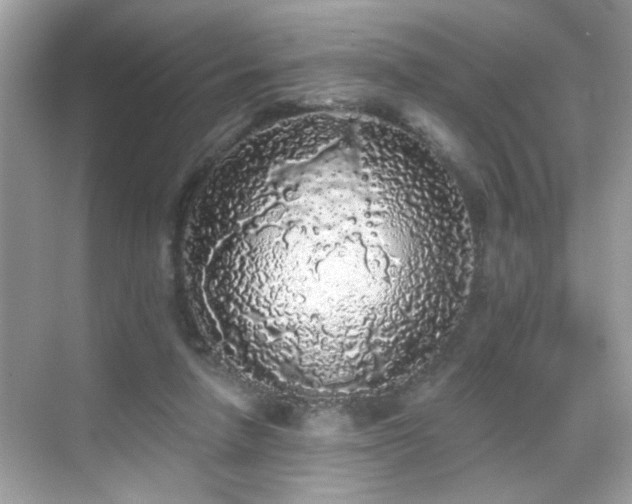 X0000069360258200605121124