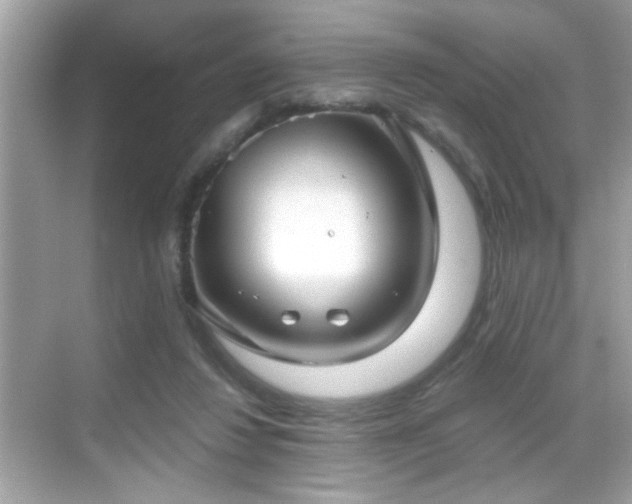 X0000069360260200605121124