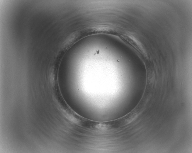 X0000069360261200605121124