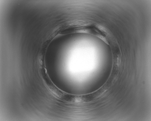 X0000069360264200605121124