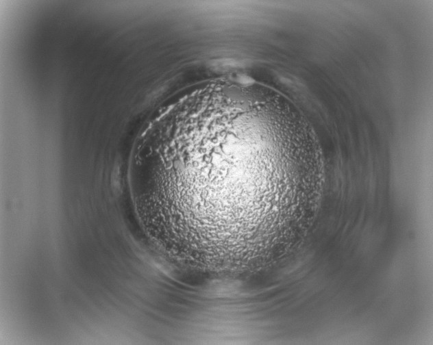 X0000069360266200605121124