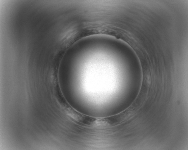 X0000069360270200605121124