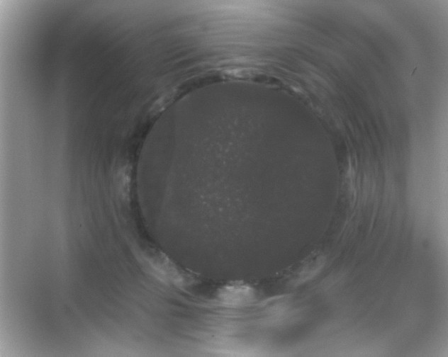 X0000069360271200605121124