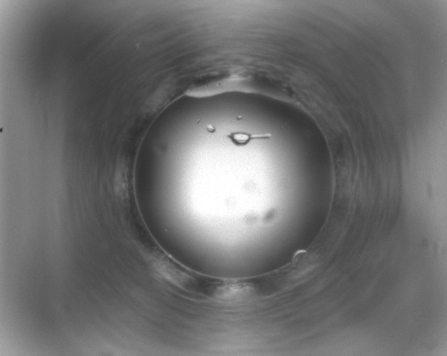 X0000069360274200605121124