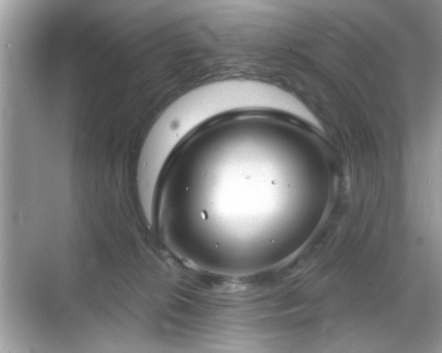 X0000069360276200605121124