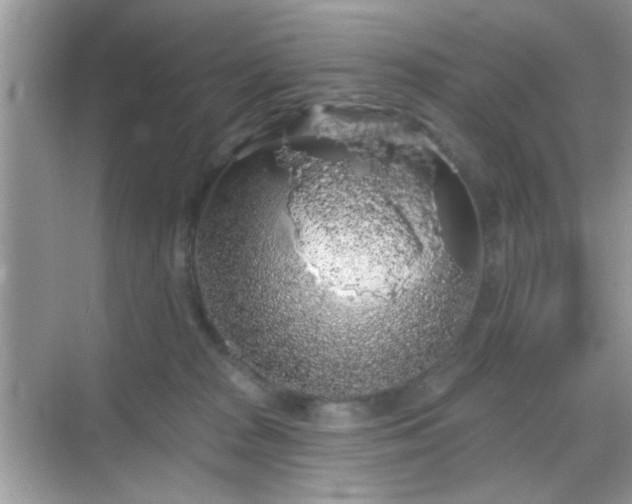 X0000069360277200605121124