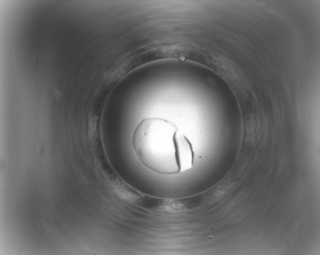 X0000069360278200605121124