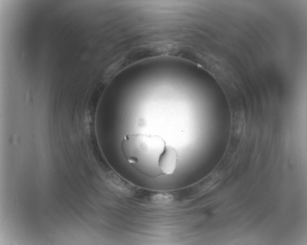 X0000069360279200605121124