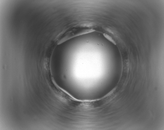 X0000069360280200605121124