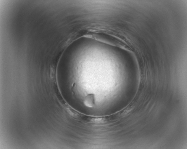 X0000069360281200605121124