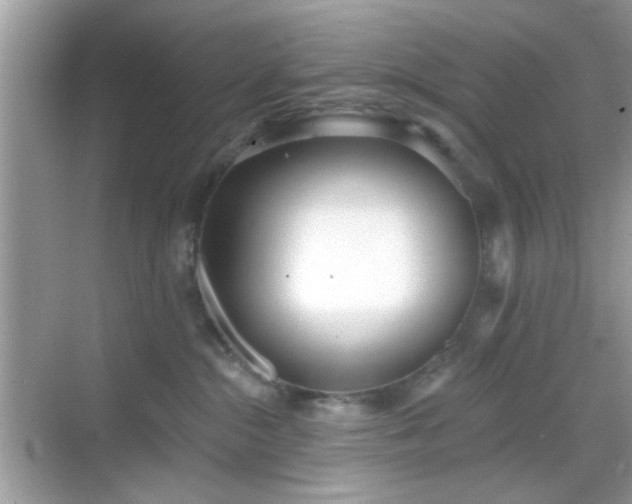 X0000069360284200605121124