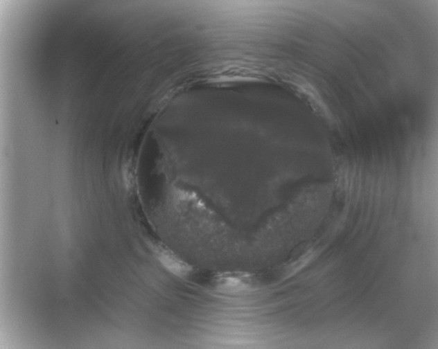 X0000069360285200605121125