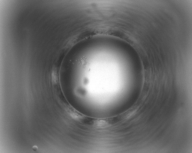 X0000069360287200605121125