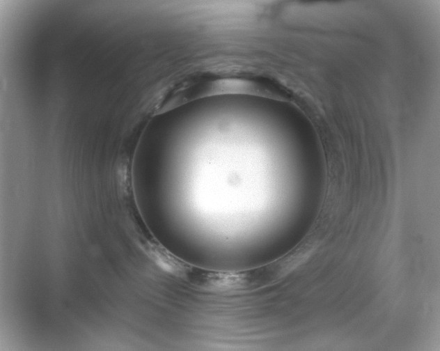 X0000069360288200605121125