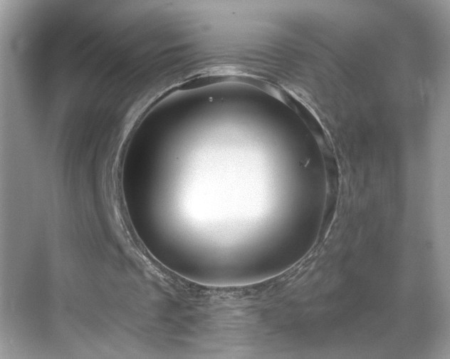 X0000069360289200605121124