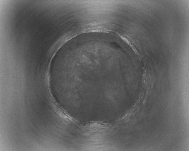 X0000069360290200605121124