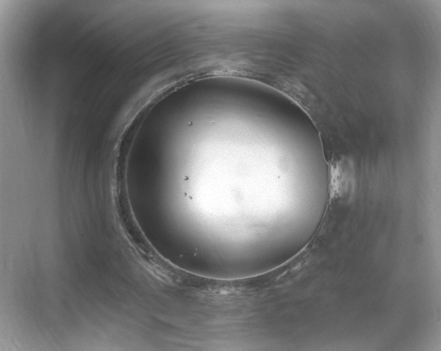 X0000069360291200605121124