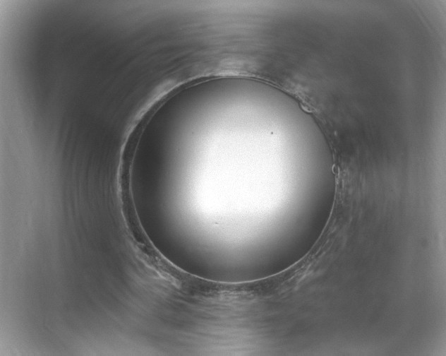 X0000069360292200605121124