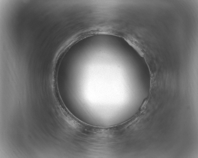 X0000069360293200605121124