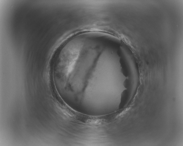 X0000069360295200605121124