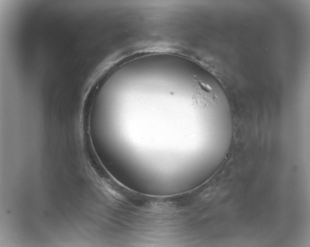 X0000069360296200605121124