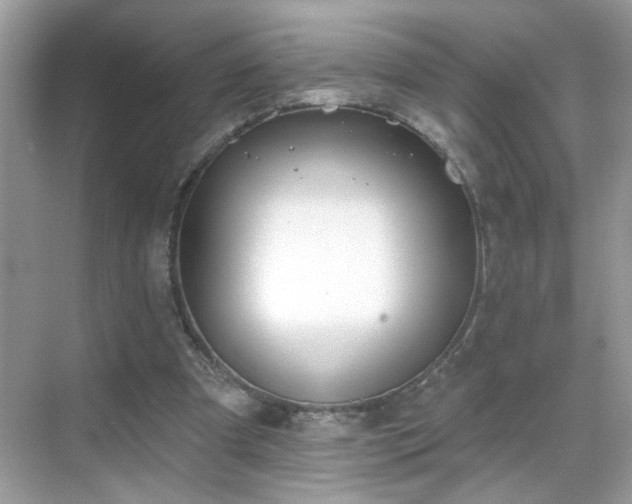 X0000069360297200605121124