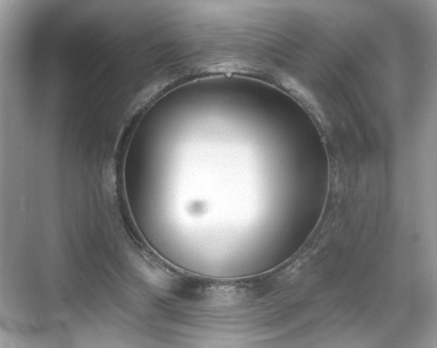 X0000069360298200605121124