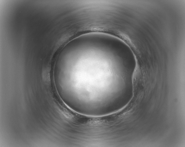 X0000069360299200605121124