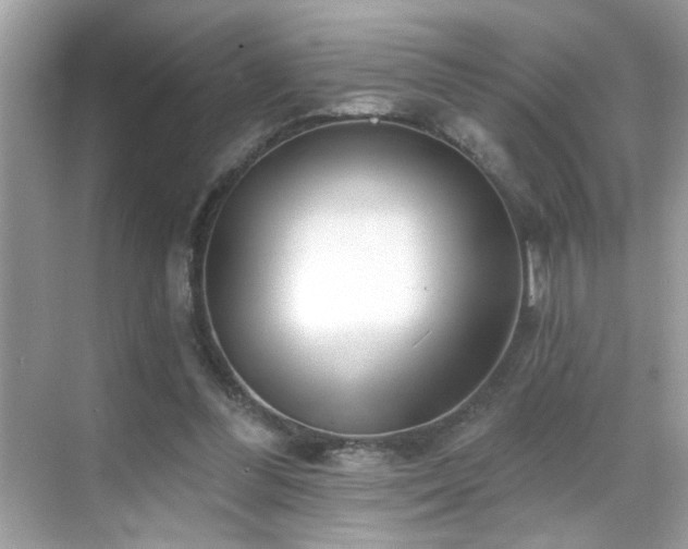 X0000069360300200605121124