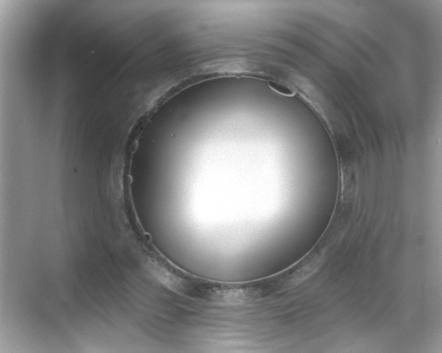 X0000069360301200605121124