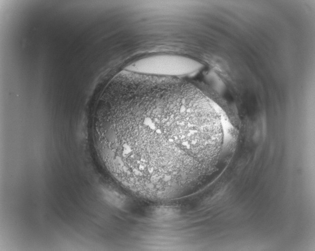 X0000069360303200605121123