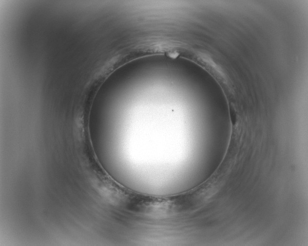 X0000069360306200605121123