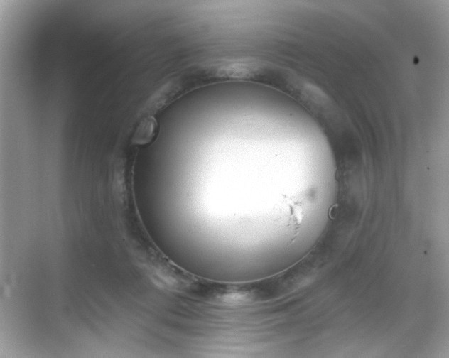 X0000069360312200605121123