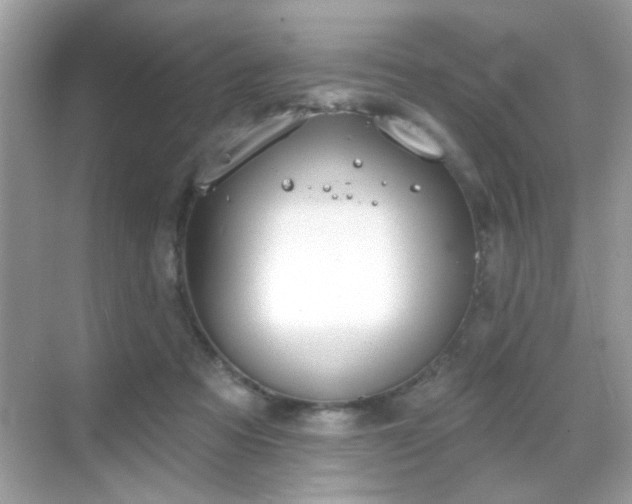 X0000069360313200605121123