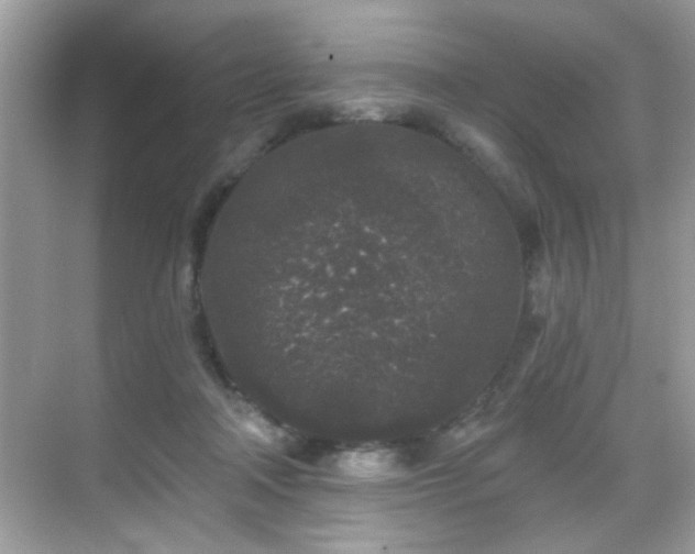 X0000069360314200605121123